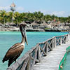 Cancún Mexico Hotels